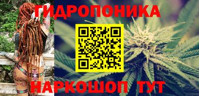 сатива Моздок