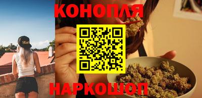 сатива Моздок
